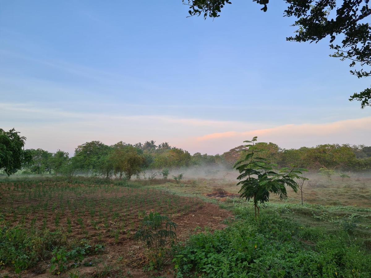 Ranakeliya Lodge - Yala Zewnętrze zdjęcie