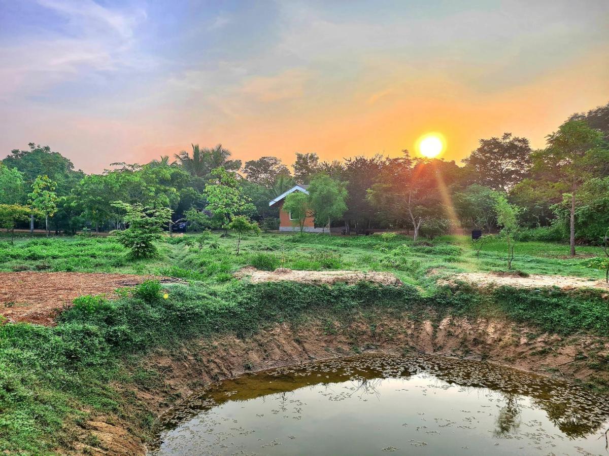 Ranakeliya Lodge - Yala Zewnętrze zdjęcie