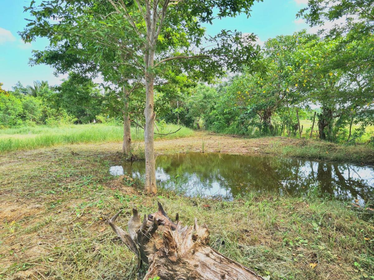 Ranakeliya Lodge - Yala Zewnętrze zdjęcie