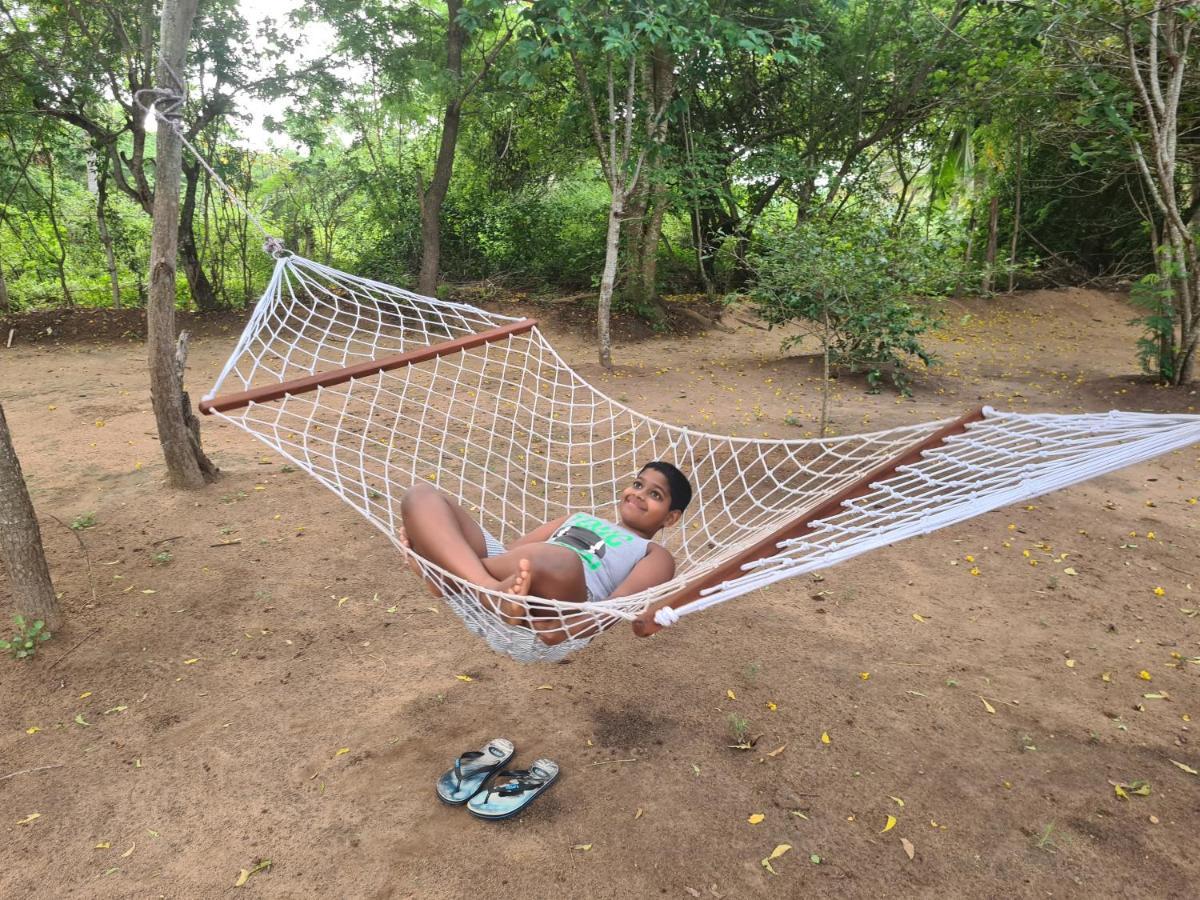 Ranakeliya Lodge - Yala Zewnętrze zdjęcie