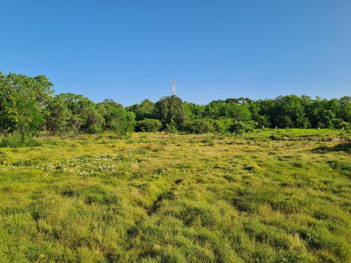 Ranakeliya Lodge - Yala Zewnętrze zdjęcie