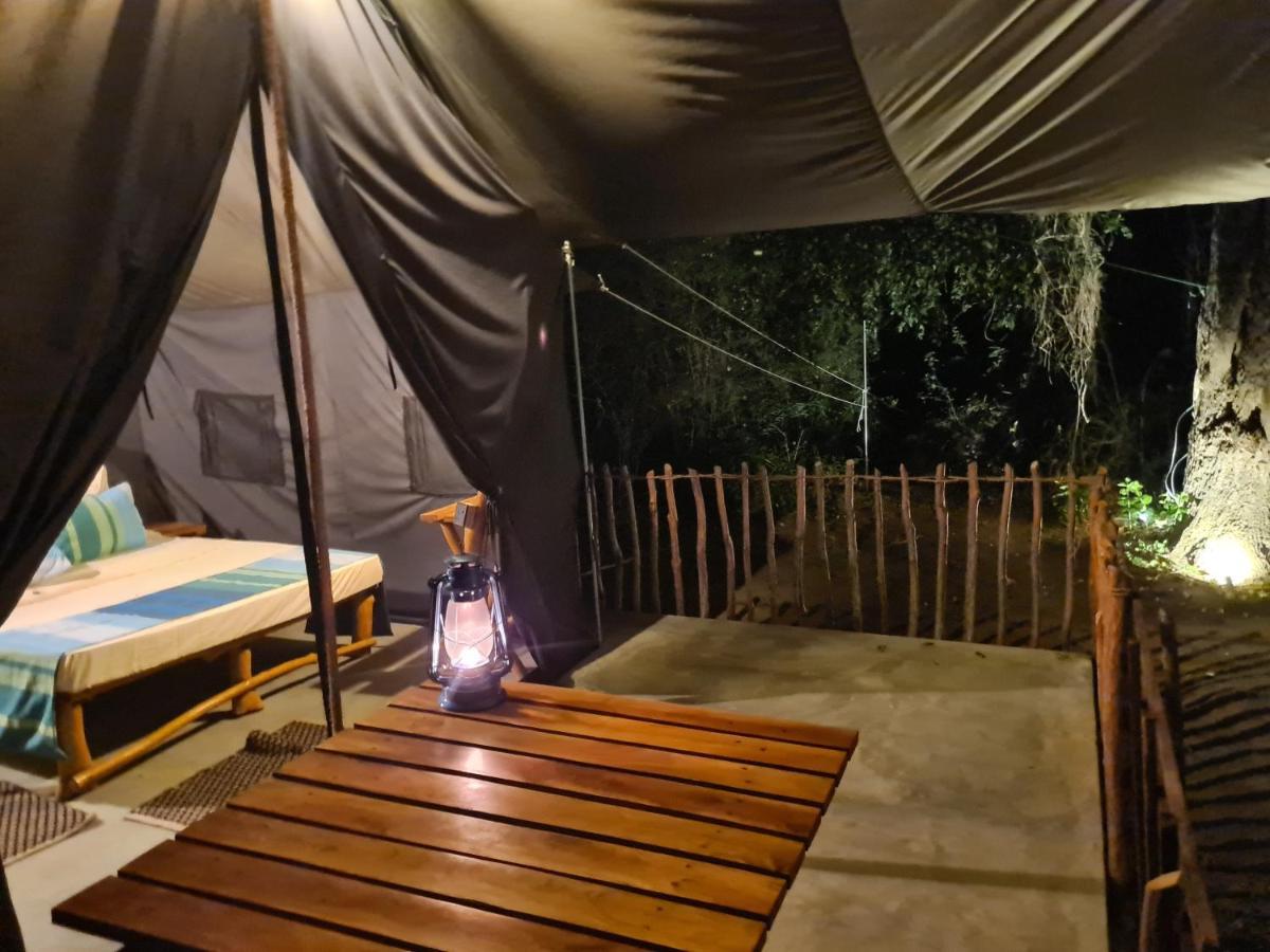 Ranakeliya Lodge - Yala Zewnętrze zdjęcie