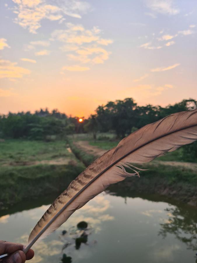 Ranakeliya Lodge - Yala Zewnętrze zdjęcie
