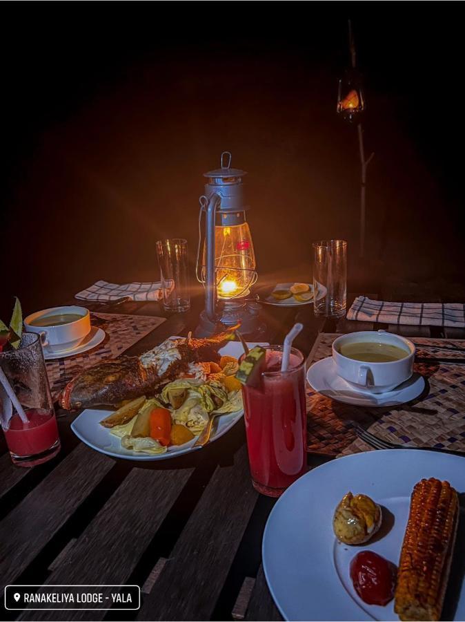 Ranakeliya Lodge - Yala Zewnętrze zdjęcie